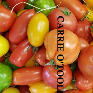 TOMATOES 1